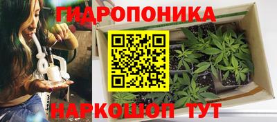 a pvp Канаш